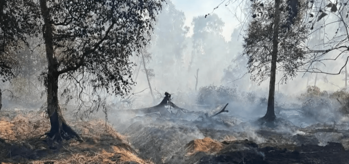 ‘We didn’t start the fire’ – but our economic system poured fuel on&nbsp;it